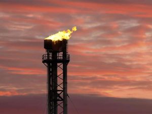 فلر تاور چیست و چه کاری انجام میدهد؟