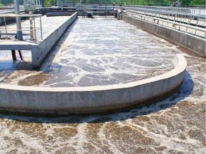 صافی شنی چیست و چه کاربردی دارد؟